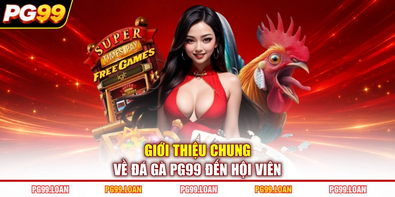 Giới thiệu chung về đá gà PG99 đến hội viên
